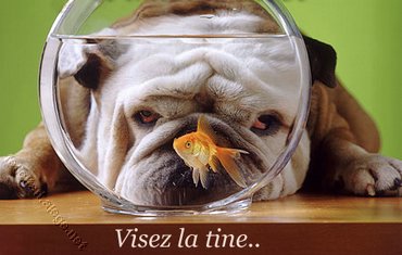 Visez