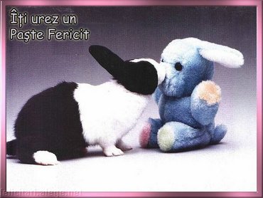 Iti Urez Un Paste Fericit