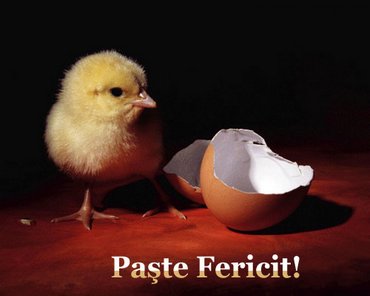 Paste Fericit