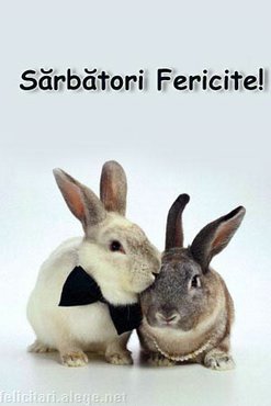 Sarbatori Fericite