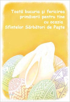 Toata Bucuria Si Fericirea