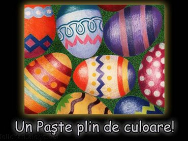 Un Paste Plin De Culoare