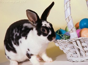 Easter