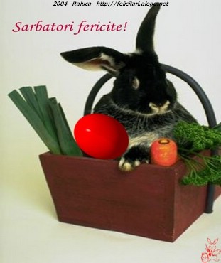 Sarbatori Fericite