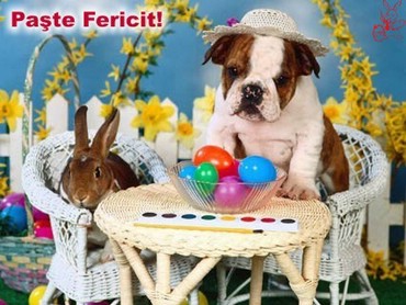 Paste Fericit!