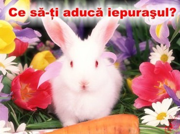 Ce sa-ti aduca iepurasul?