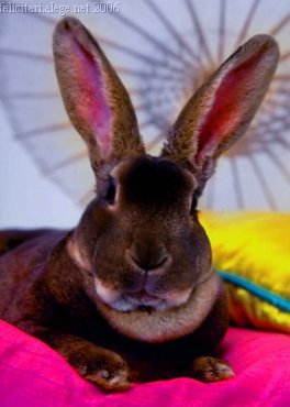 Easter