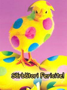 Sarbatori Fericite
