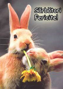 Sarbatori Fericite