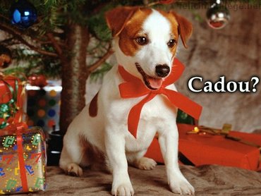 Cadou