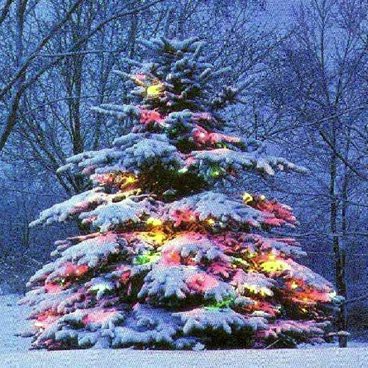 Christmas Tree