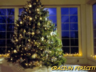 Craciun Fericit