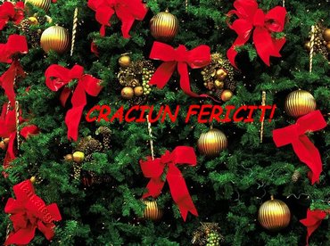 Craciun Fericit