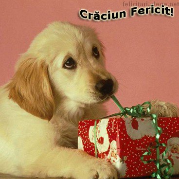 Craciun Fericit