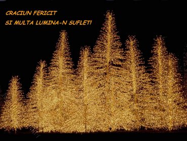 Craciun Fericit Si Multa Lumina In Suflet