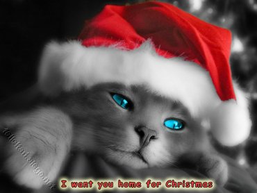 I Want You Home For Christmas