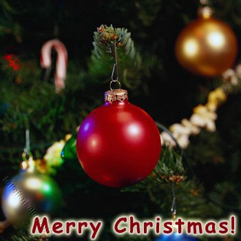 Merry Christmas