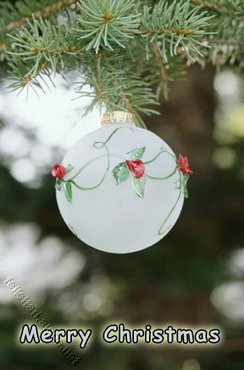 Merry Christmas