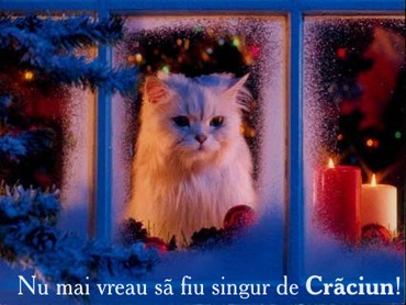 Nu Mai Vreau Sa Fiu Singur De Craciun