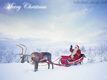 Merry Christmas