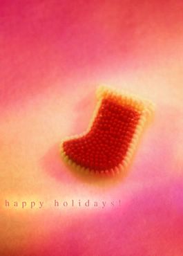 Happy Holidays! - Roz
