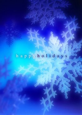 Happy Holidays - Fulgi