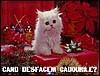 Cand Desfacem Cadourile?