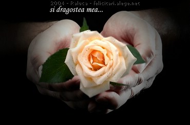 Si Dragostea Mea