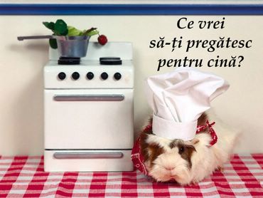 Ce Vrei Sa-ti Pregatesc Pentru Cina?