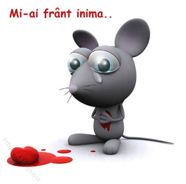 Inima Franta