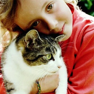 Love Cats