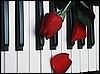 Roses on piano