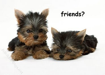 Friends