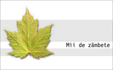 Mii De Zambete