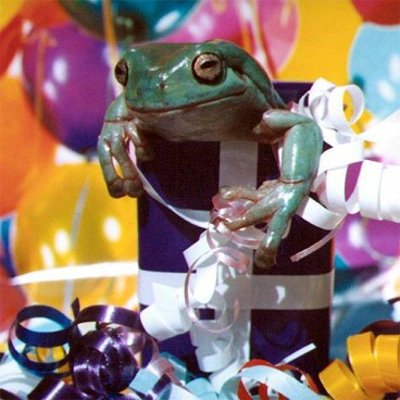 Birthday