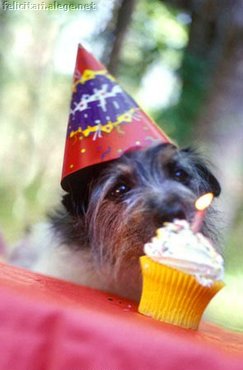 Birthdays