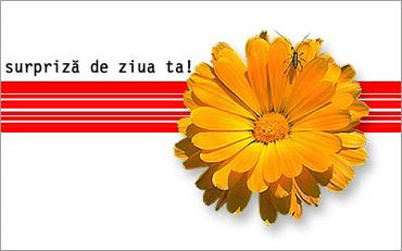 Surpriza De Ziua Ta