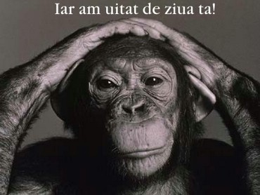 Iar Am Uitat De Ziua Ta!
