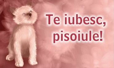 Te Iubesc, Pisoiule!