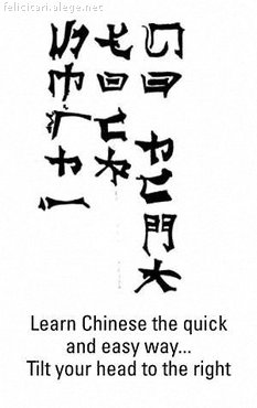 Invata chineza