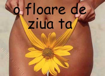 Floare Bikini