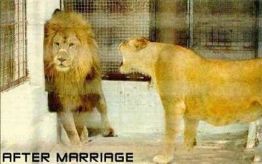 After Marriage
