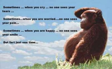 Sometimes ... Sometimes ... Sometimes ...