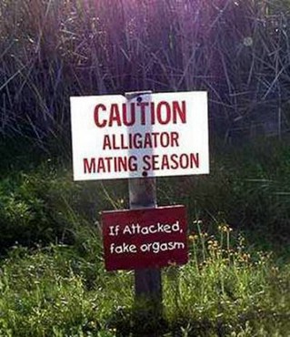 Fun