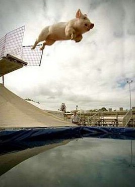 La Piscina