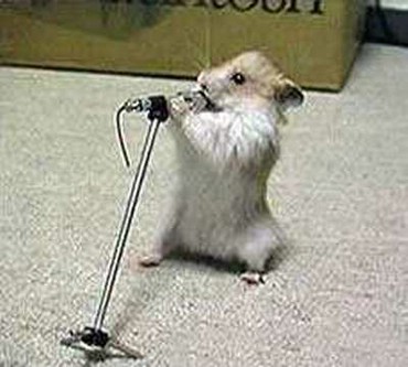 Concertul