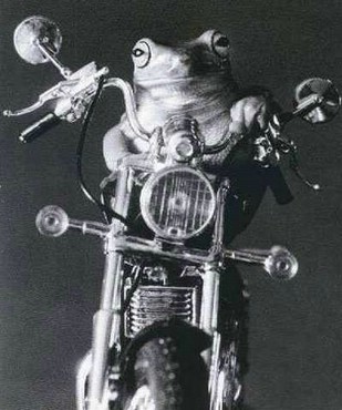 Motocicleta Mea