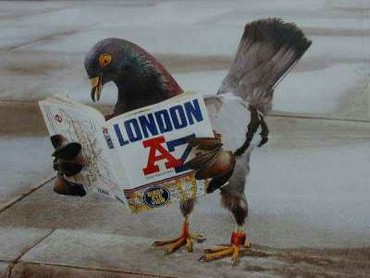 London De La A La Z