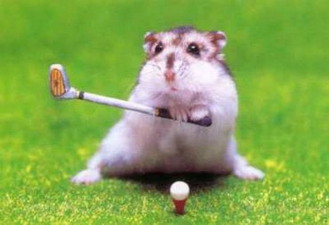 La Golf