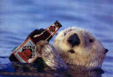 Dead Dog